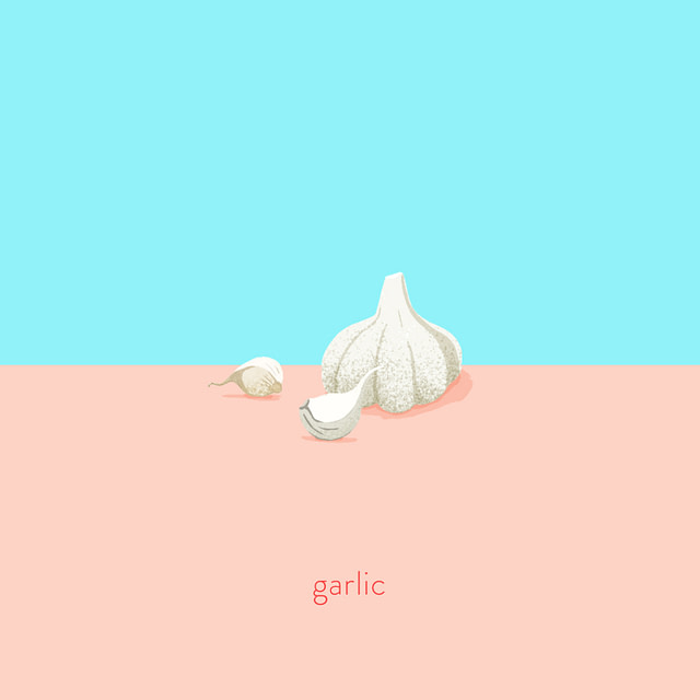 Tasty Tidbits - Garlic illustration